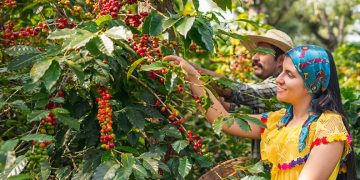 Actualidad positiva del Eje Cafetero