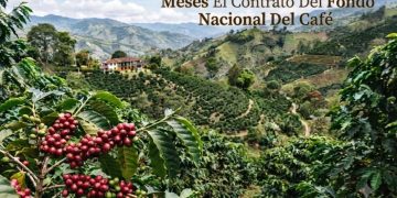 Gobierno prorroga por cinco meses el contrato del Fondo Nacional del Café