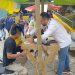La alcaldía de El Carmen de Atrato, realiza feria de servicios: la institucionalidad y la banca más cerca de la comunidad